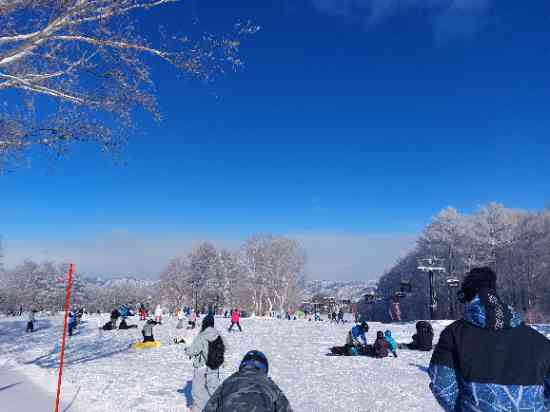 前日は大雪でした。
