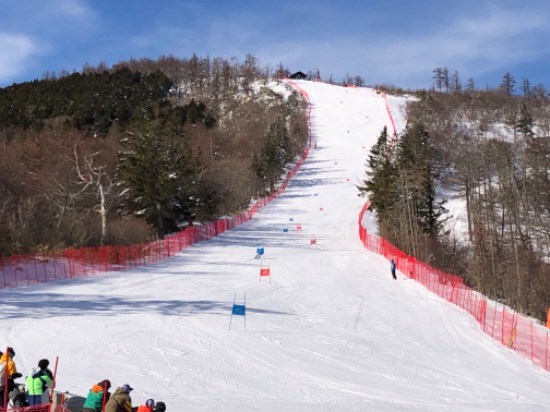今日から|菅平パインビークスキー場のクチコミ画像