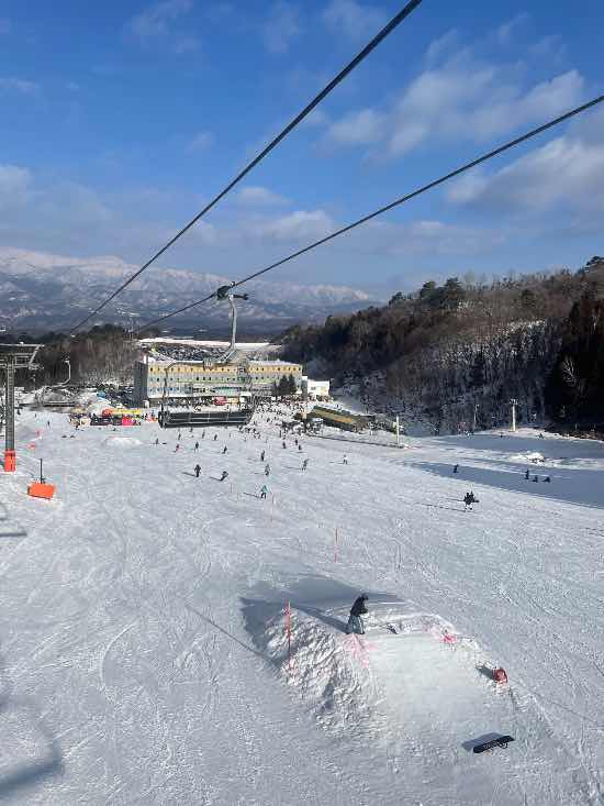 ハイシーズンなのに春みたい‼️