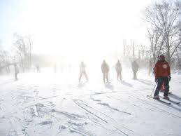 ワンダーランドかたしなレビューキャンペーン