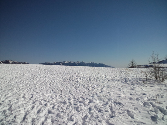 ゲレ食が充実！|ブランシュたかやまスキーリゾートのクチコミ画像2