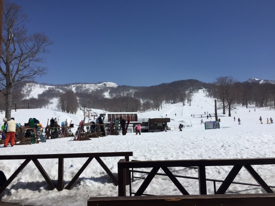 雪量が豊富|たんばらスキーパークのクチコミ画像