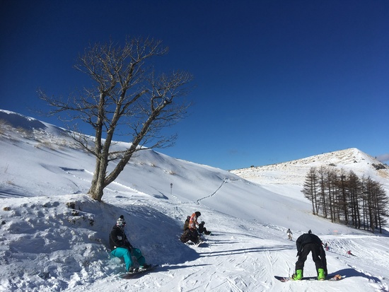 安定の気持ち良さ!|のクチコミ画像