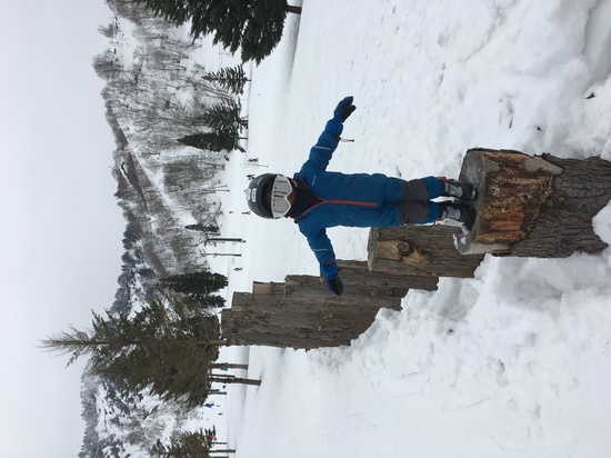 子供向けコースが充実してました|湯沢中里スノーリゾートのクチコミ画像2