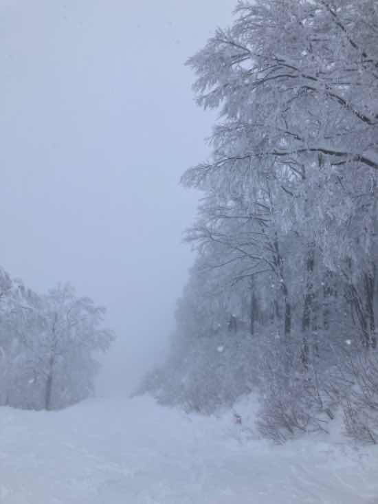 初滑りで激パウダー|六日町八海山スキー場のクチコミ画像