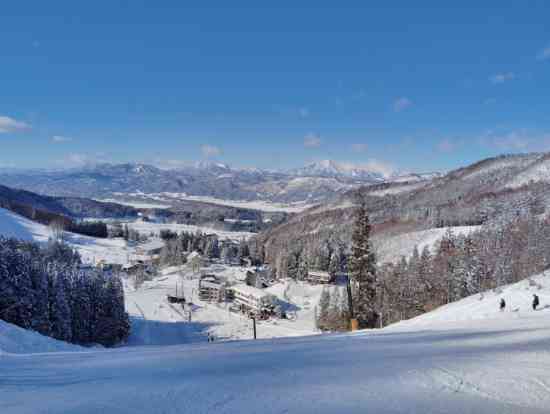 パウダー|野沢温泉スキー場のクチコミ画像