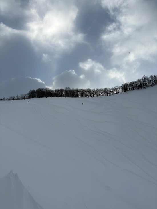 今日もパウダー