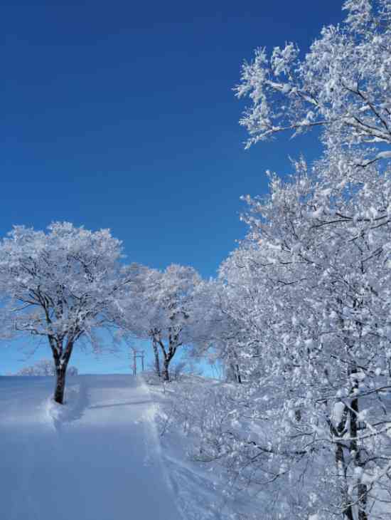 雪は？|野沢温泉スキー場のクチコミ画像