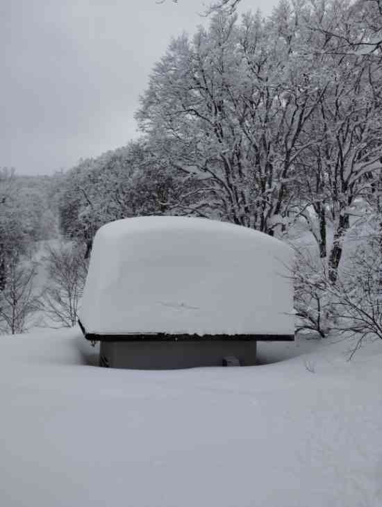 雪は？|野沢温泉スキー場のクチコミ画像2