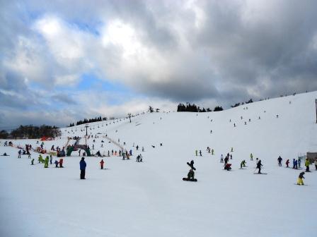 ファミリー向け|箱館山スキー場のクチコミ画像