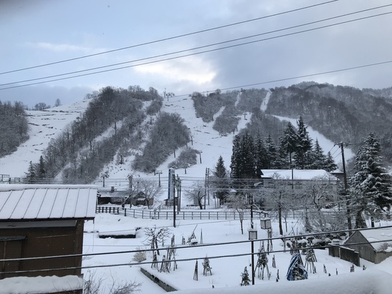 雪|湯沢中里スノーリゾートのクチコミ画像