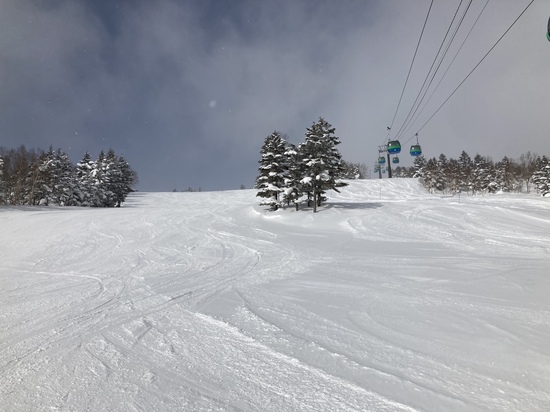 雪質最高！|志賀高原 焼額山スキー場のクチコミ画像