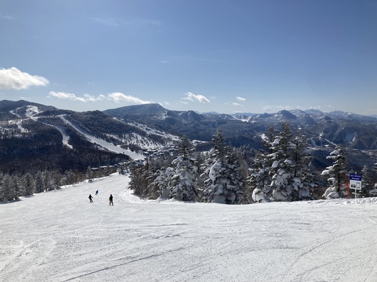 雪質最高！|志賀高原 焼額山スキー場のクチコミ画像2