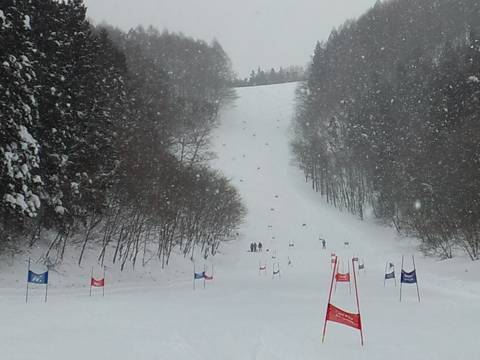 ワンダーランドかたしなレビューキャンペーン|かたしな高原スキー場のクチコミ画像