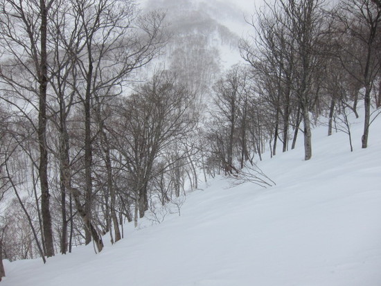 2014/03/03（月）　北海道 アンヌプリ国際の速報|ニセコアンヌプリ国際スキー場のクチコミ画像