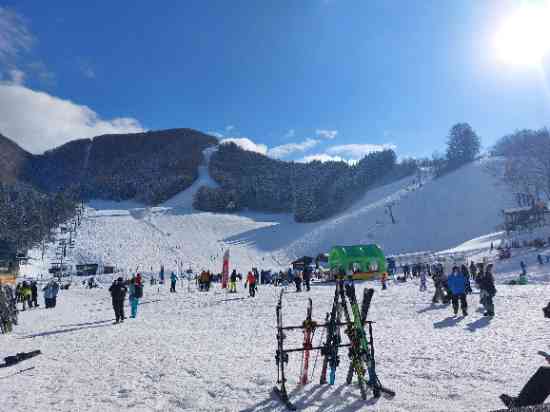 ロングコース良かったです。