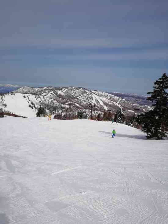 ワンダーランドかたしなレビューキャンペーン|丸沼高原スキー場のクチコミ画像