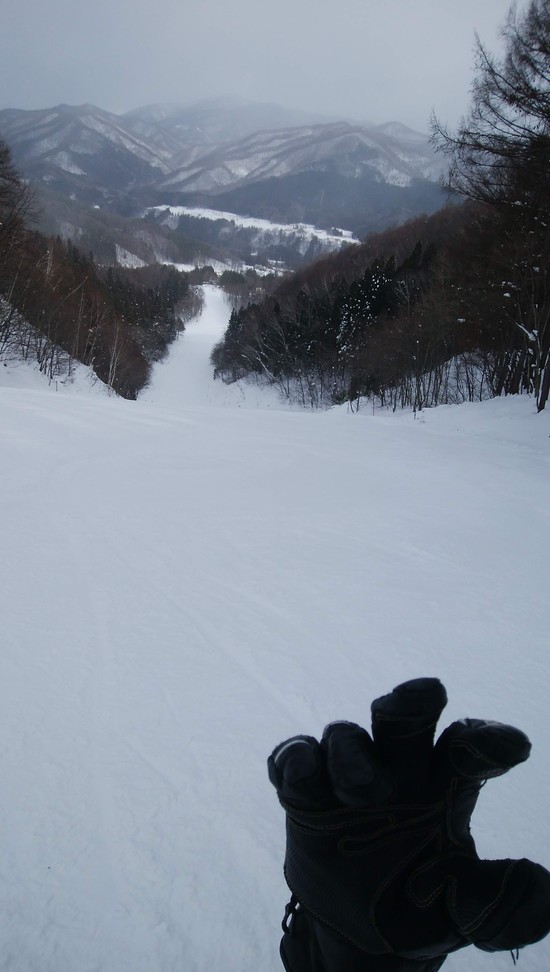 穏やかなスキー場|かたしな高原スキー場のクチコミ画像