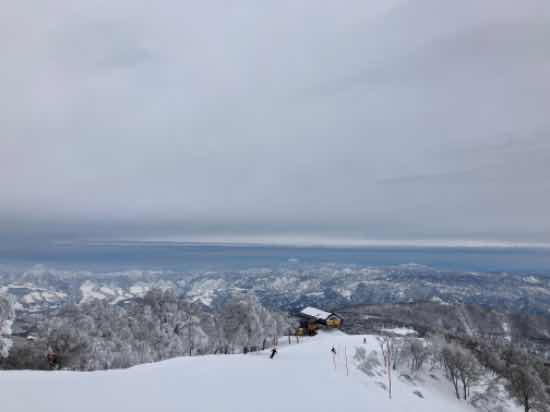 ことしの融雪|のクチコミ画像