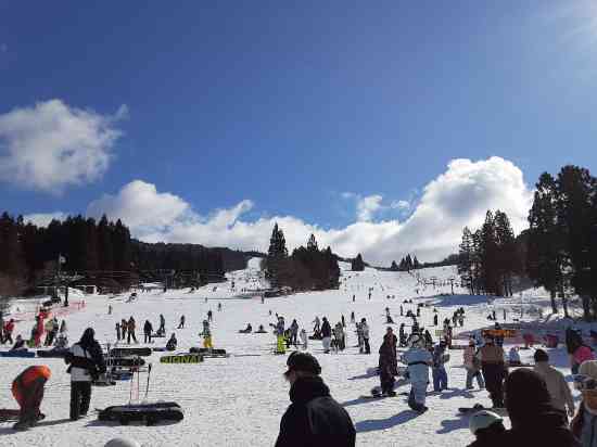 朝イチ|鷲ヶ岳スキー場のクチコミ画像2