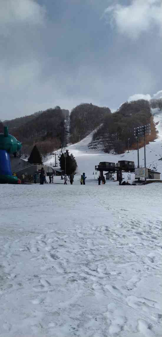 ワンダーランドかたしなレビューキャンペーン