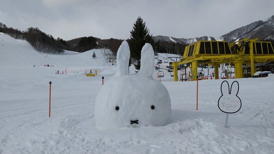 ワンダーランドかたしなレビューキャンペーン|かたしな高原スキー場のクチコミ画像