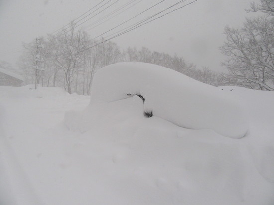 一晩で積雪1m|妙高杉ノ原スキー場のクチコミ画像
