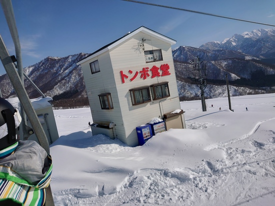 晴れた日の情報|岩原スキー場のクチコミ画像2