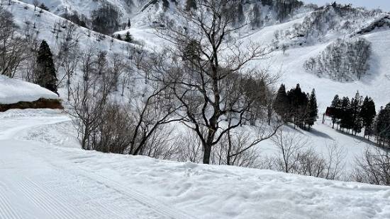 緩めのコース多い|湯沢中里スノーリゾートのクチコミ画像2