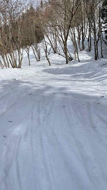 緩めのコース多い|湯沢中里スノーリゾートのクチコミ画像3