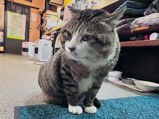 こんな居酒屋、家の近所に欲しい！|戸狩温泉スキー場のクチコミ画像2