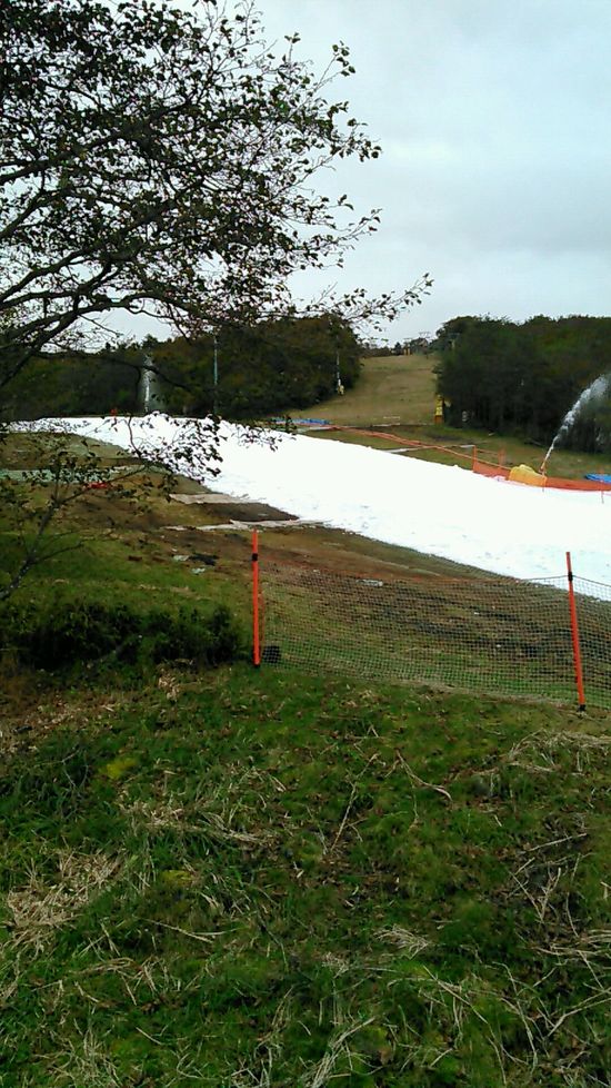 一反もめん|のクチコミ画像