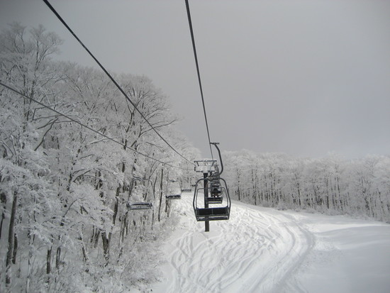 雪が良い！|阿仁スキー場のクチコミ画像