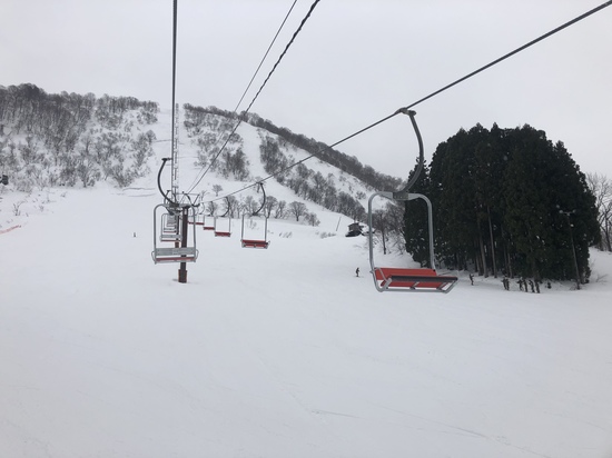 2度と行かない|白山千丈温泉セイモアスキー場のクチコミ画像