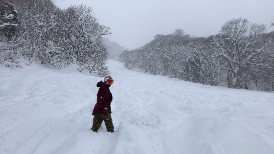 大雪万歳、平日最高。