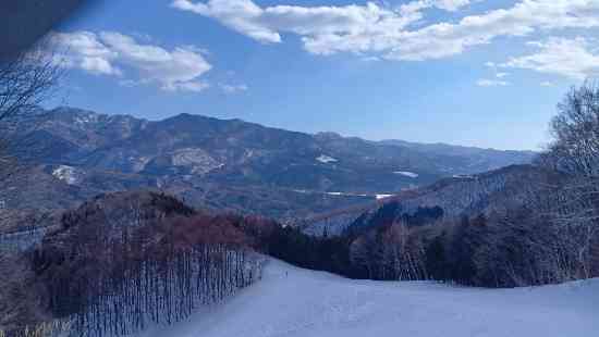 ワンダーランドかたしなレビューキャンペーン