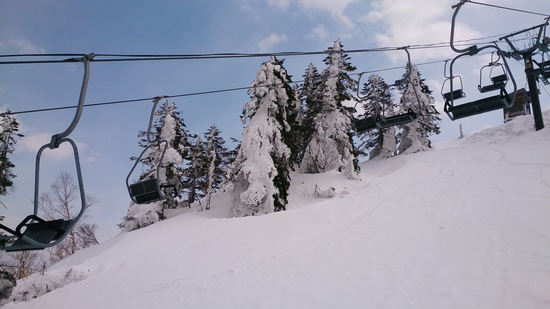 四月なのにまだまだこれから！|志賀高原 熊の湯スキー場のクチコミ画像3
