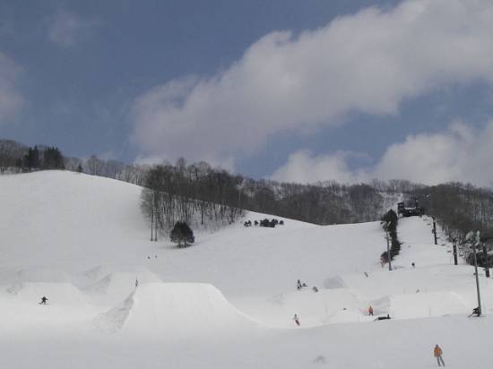 ワンダーランドかたしなレビューキャンペーン