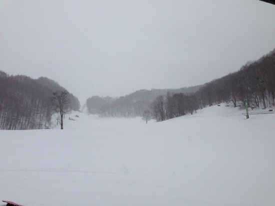 安い！！|のクチコミ画像