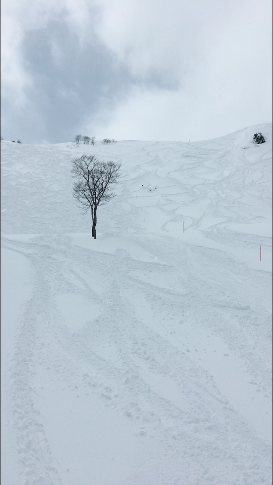 最高！|谷川岳天神平スキー場のクチコミ画像1