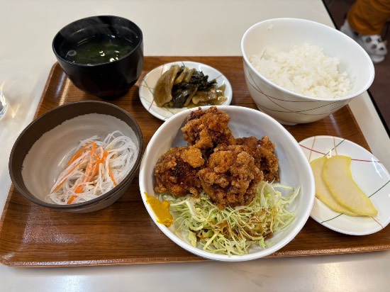 ワンダーランドかたしなレビューキャンペーン