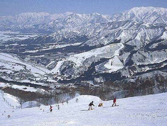 凄いゲレンデです。|石打丸山スキー場のクチコミ画像