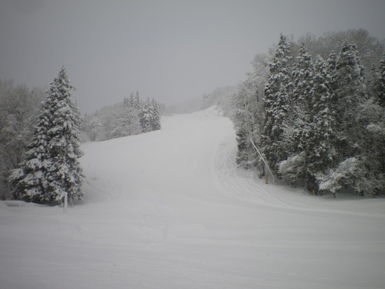 前日の大雪|白馬八方尾根スキー場のクチコミ画像