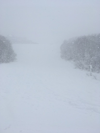 新雪|湯沢中里スノーリゾートのクチコミ画像