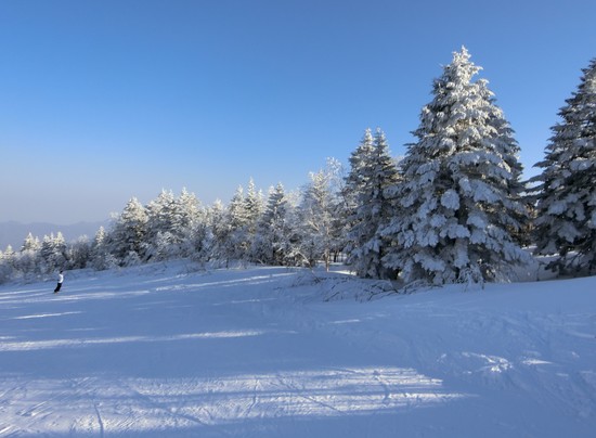 雪山は奇麗|パルコール嬬恋リゾートのクチコミ画像