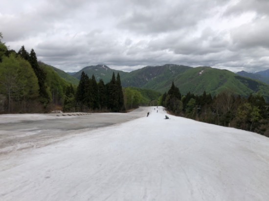 みつまたエリア|かぐらスキー場のクチコミ画像2