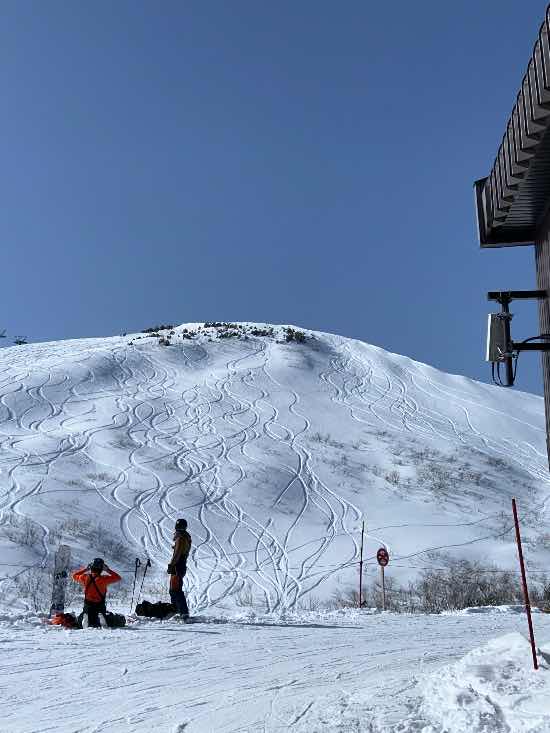 新雪20〜30cm 気持ちのいい晴天|白馬八方尾根スキー場のクチコミ画像