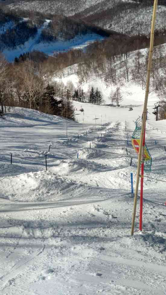 コブ斜面|川場スキー場のクチコミ画像