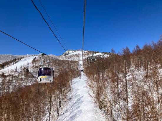 スピード注意です|のクチコミ画像