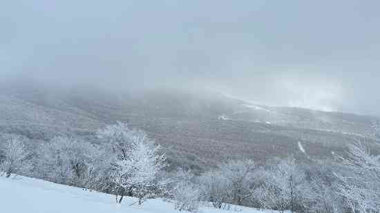 恵みの降雪|星野リゾート ネコマ マウンテン(旧アルツ磐梯＆猫魔スキー場…のクチコミ画像